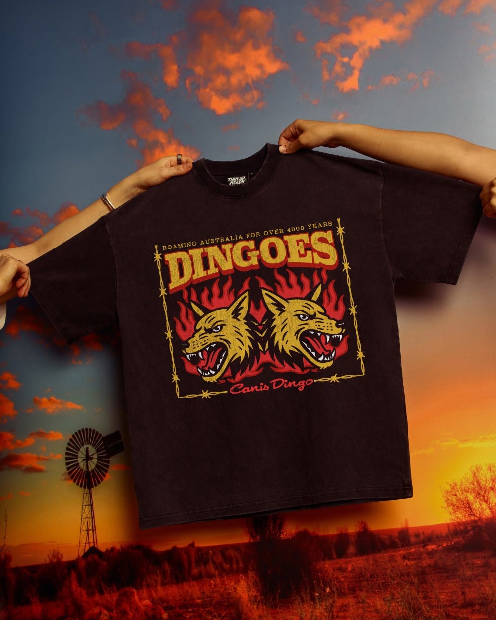 Territory Dingoes Oversized Graphic Tee Unisex T-Shirt - 100% Combed Cotton Heavyweight 275gsm